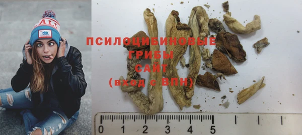 индика Лиски