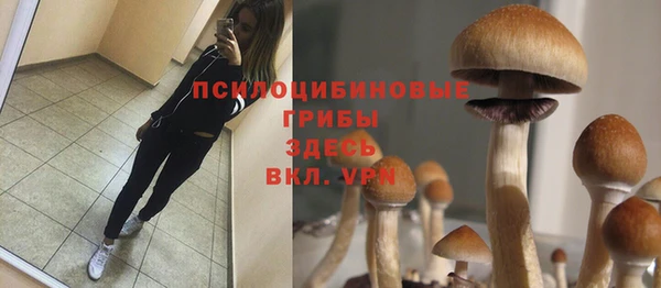 экстази Лихославль