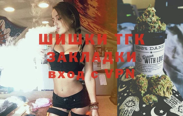 индика Лиски