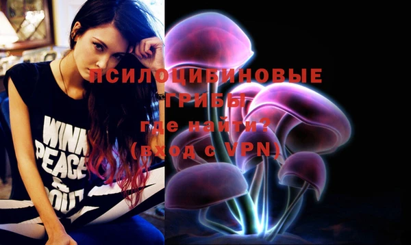дурь Липки