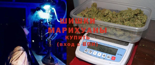 индика Лиски
