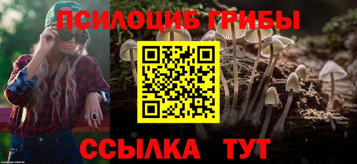 Галлюциногенные грибы Magic Shrooms Мурино