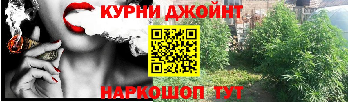 Бошки марихуана VHQ  Мурино  Конопля OG Kush  Бошки марихуана конопля 